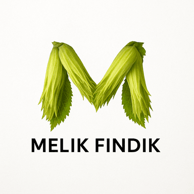 Next.js logo